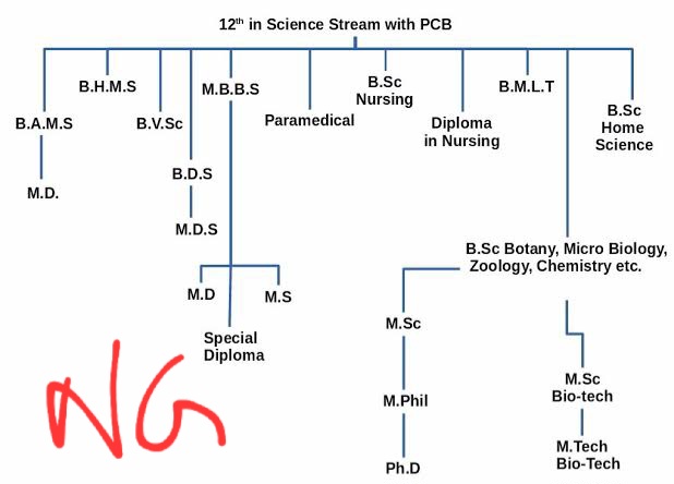 Pcb students career options