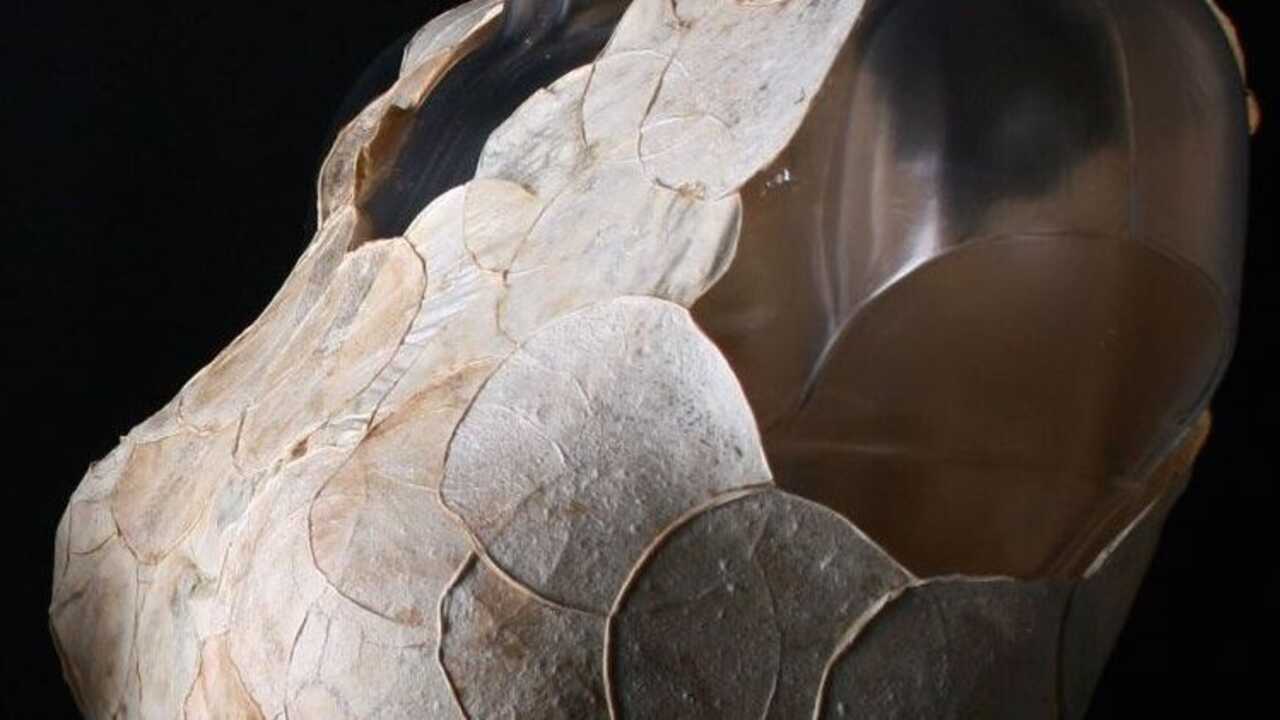 Innovative Textiles Fashion