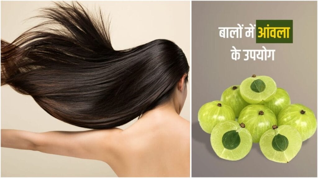 बालों की देखभाल के लिए घरेलू नुस्खे – मजबूत, चमकदार और घने बाल पाने के आसान उपाय 3 Amla For Hair