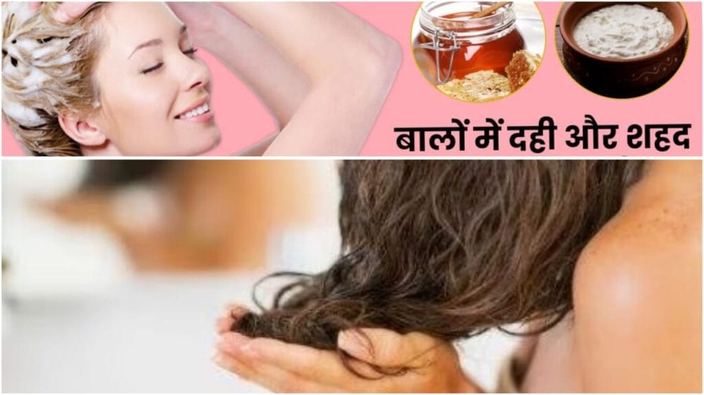 बालों की देखभाल के लिए घरेलू नुस्खे – मजबूत, चमकदार और घने बाल पाने के आसान उपाय 6 how to use curd and honey for hair