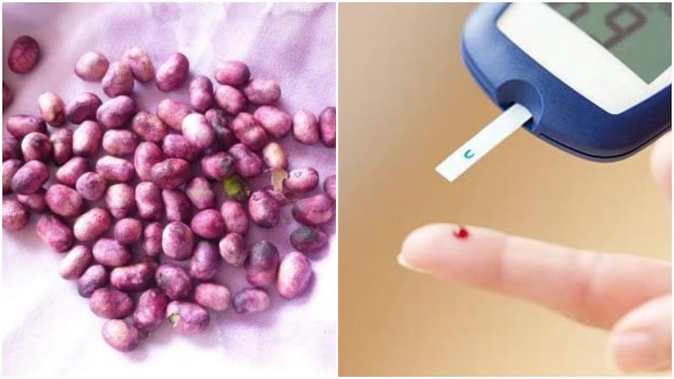 jamun-seeds-health-benefits-2025 jamun-seeds-health-benefits-2025
