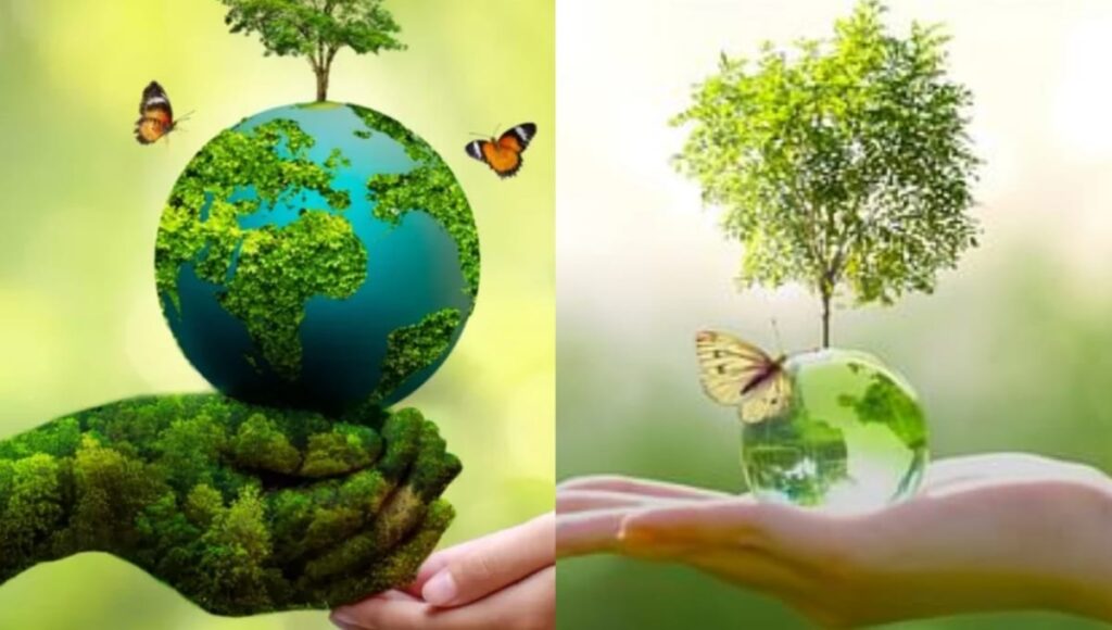 Eco friendly lifestyle