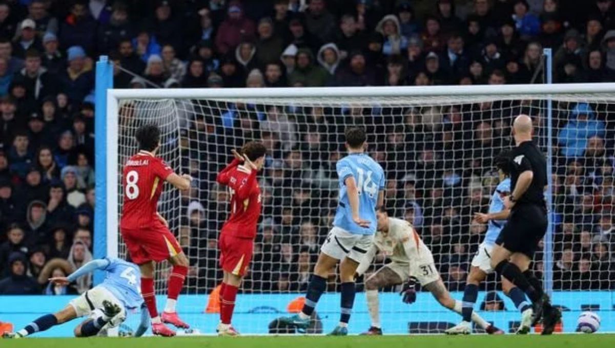 What Fans Can Expect